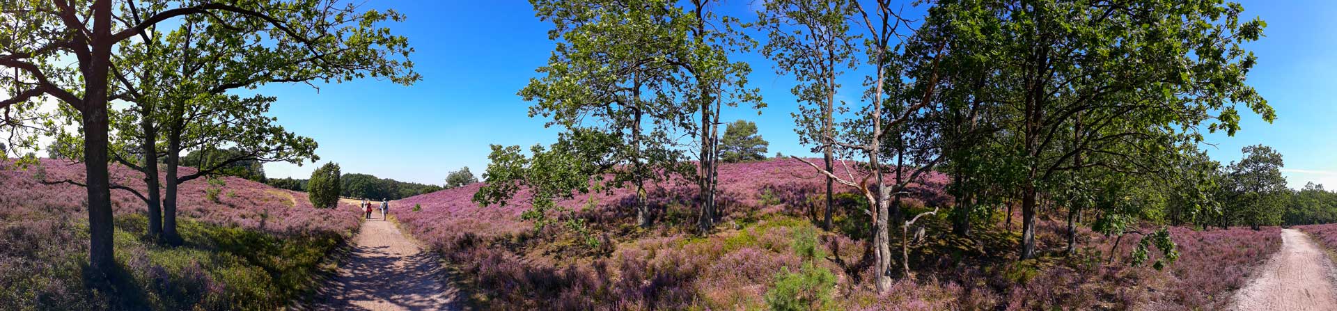 Wanderung durch die Lüneburger Heide