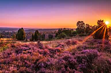 Abenddämmerung über der Heide